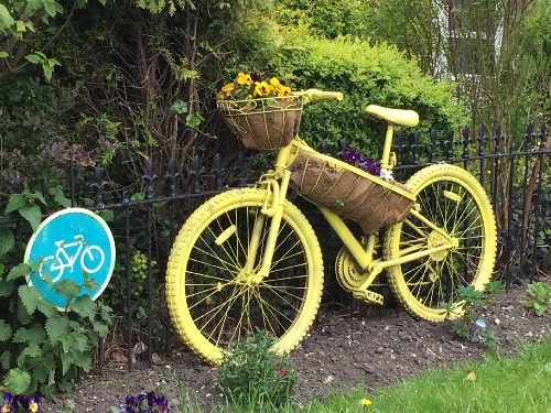 Just one of the many yellow bicycles we saw along the route